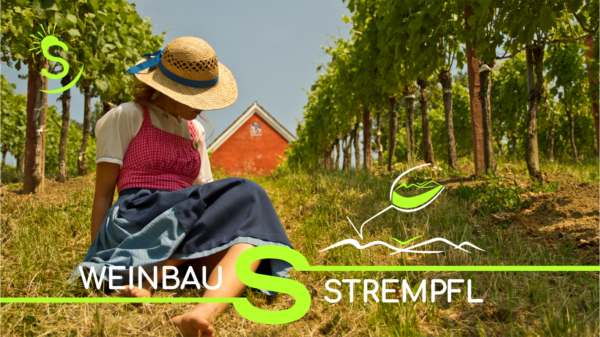Weinbau_Strempfl
