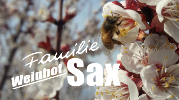 logo_sax_1