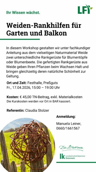 Weiden-Rankhilfen 17042026